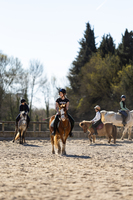 Poney Club - Compétition - Pension